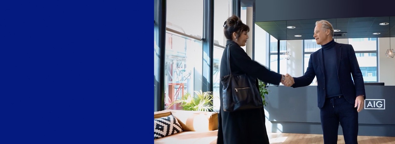 AIG Purpose and Values